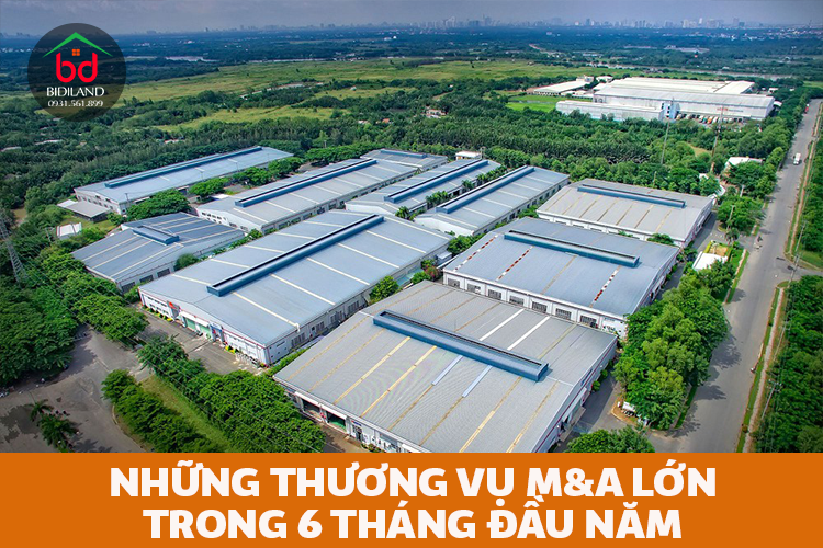 Những thương vụ M&A giá trị lớn trong 6 tháng đầu năm