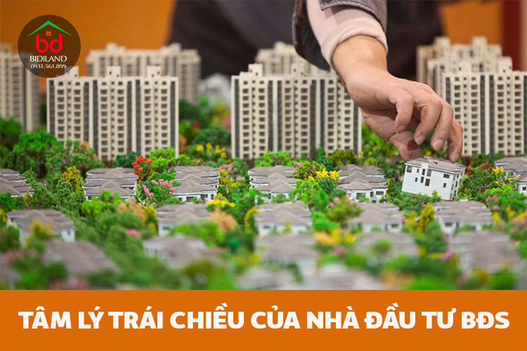 Tâm lý trái chiều, khó đoán của nhà đầu tư bất động sản