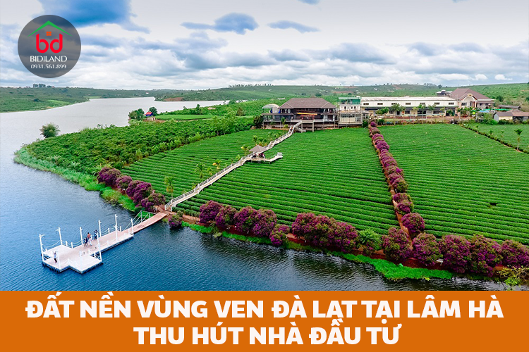 Đất nền vùng ven Đà Lạt tại Lâm Hà thu hút nhà đầu tư