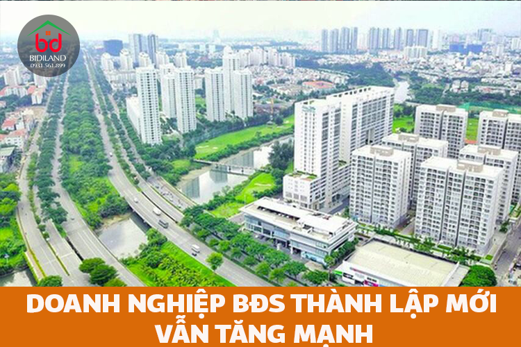 Doanh nghiệp BĐS thành lập mới vẫn tăng mạnh