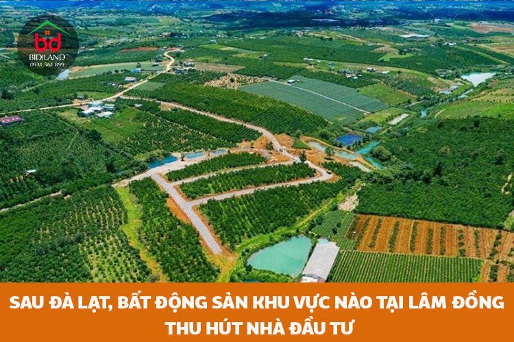 Sau Đà Lạt, bất động sản khu vực nào tại Lâm Đồng sẽ hút nhà đầu tư?